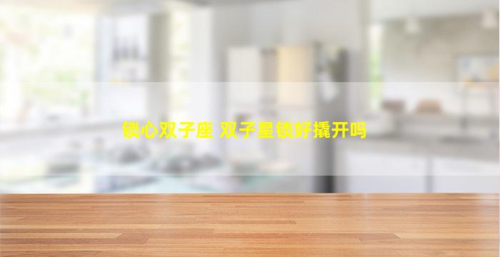锁心双子座 双子星锁好撬开吗